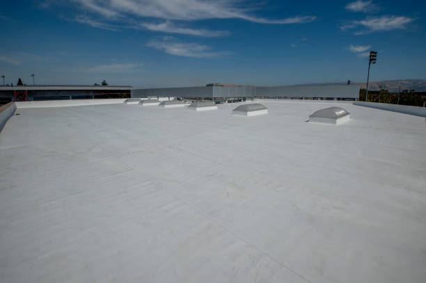 Best Sheet Metal Roofing  in Crystal River, FL