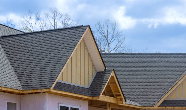 Best Roof Ventilation Installation  in Crystal River, FL