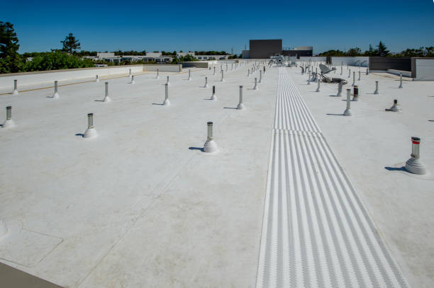 Best Asphalt Shingle Roofing  in Crystal River, FL